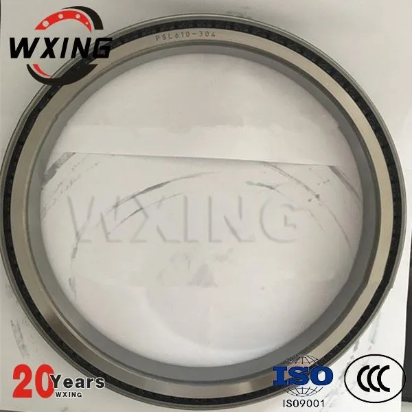 PSL 610-313製造プラント用ベアリング