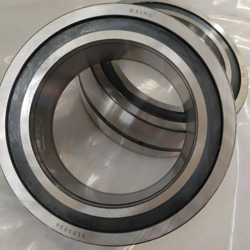 SL05026 ころ軸受